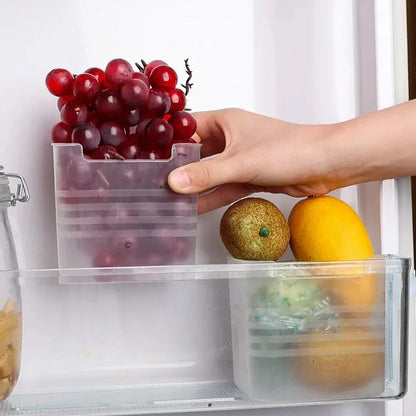 Lot de 5 Boîtes de Rangement pour Réfrigérateur™
